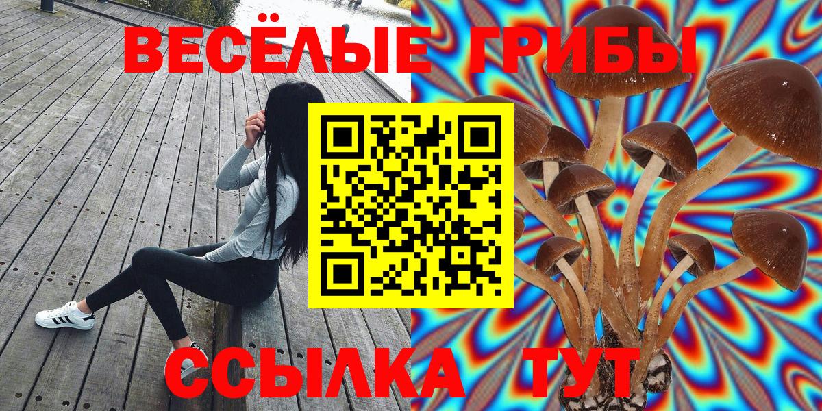 Псилоцибиновые грибы MAGIC MUSHROOMS  что такое   Вход с VPN  Краснокаменск  Галлюциногенные грибы ЛСД 